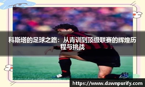 芒果体育