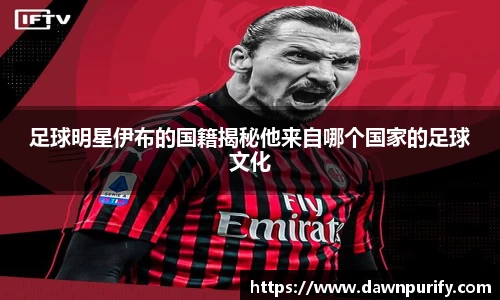 足球明星伊布的国籍揭秘他来自哪个国家的足球文化